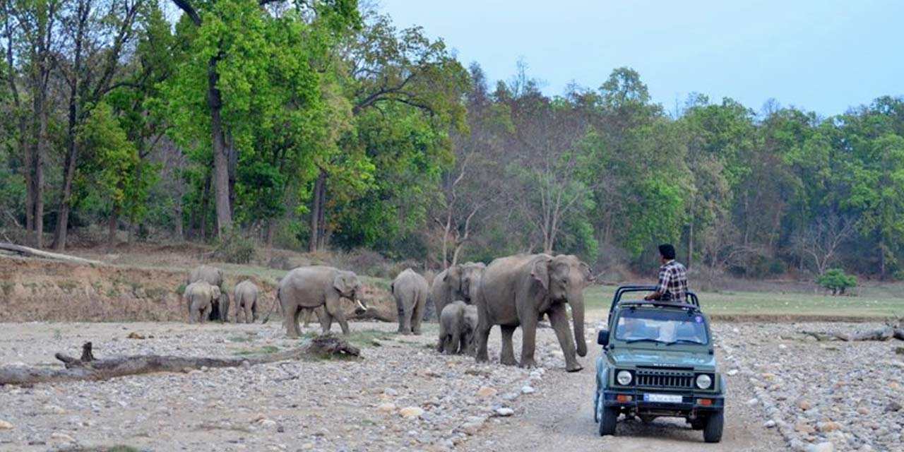 rajaji national park safari timings