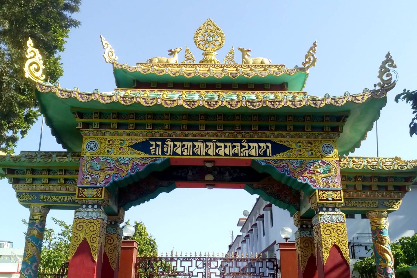 Buddha / Tibetan Buddhist Temple Dehradun 